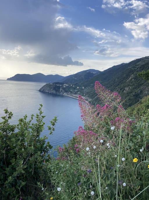 Al Geko Del Groppo ☆ Breath & Relax ☆ 5 Terre Volastra Exterior foto